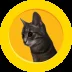 cat with neck