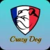 crazy dog