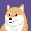 doge moon coin