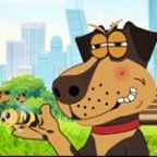 dogmeetsbee