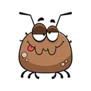 dogtick