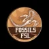 fossils