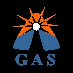 gasvin coin
