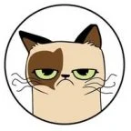 grumpy cat