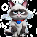 grumpykat