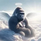 harambe
