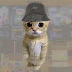 humble memecoin
