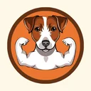 jack coin