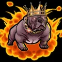 king pitbull