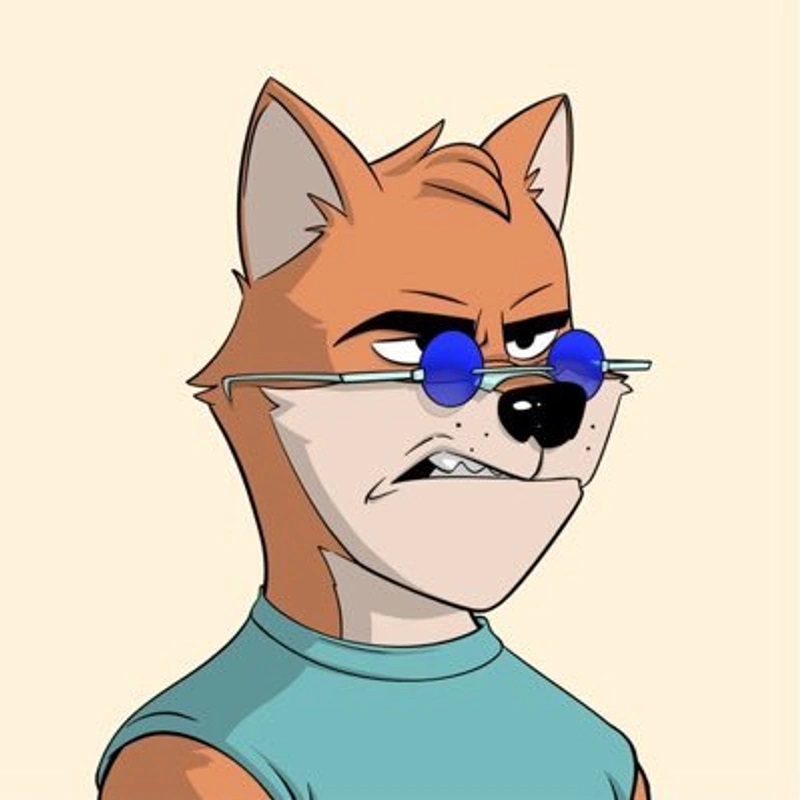 lc shib