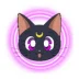 luna cat