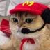mccat