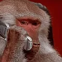 monkephone community