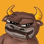 bulli on solana