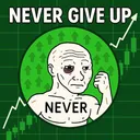 never give up