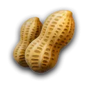 nuts