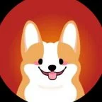 corgi inu