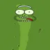 pickle rick