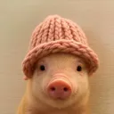 pig wif hat