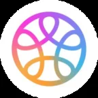 pin ai