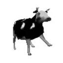 polish cow
