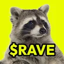 raveracoon