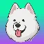 samoyed coin