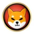 shiba gold