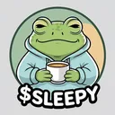 sleepy coin