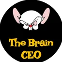 thebrainceo