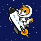starship doge