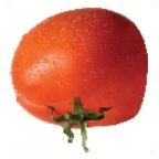 walking tomatoes