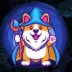 wizard doge