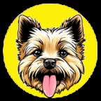 toto