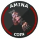 AMINA COIN