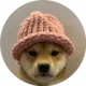 Dogwifhat