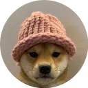 dogwifhat