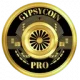 Gypsy Coin Pro