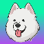 Samoyed Coin