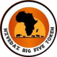 Nzvedaz Big Five Token