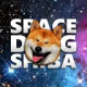 SpaceDogShiba