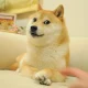 The Doge NFT