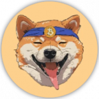 BitDoge