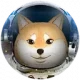 Space Doge coin