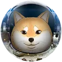 Space Doge coin