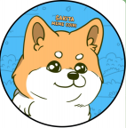 AKITA memecoin on Base