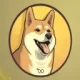 Dogecoin20 DOGE20