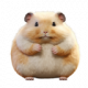 ChonkyHamster