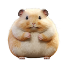 ChonkyHamster