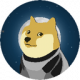 DOGE-1